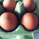 병두농장 이미지