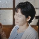 약사란제리 이미지