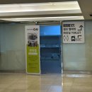 까사로마 | [리뷰] 제주 서귀포 까사로마 호텔 내돈내산 솔직 후기 l 예약, 객실 내부, 부대시설