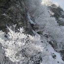 2012.1.05일 덕유산 심설산행 무주리조트 - 곤돌라-설천봉 - 향적봉 - 중봉 - 송계삼거리 _칠연폭포삼거리 - 안성매표소약4시간산행 이미지