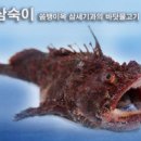 삼순이식당 네이버블로그