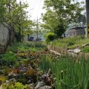 영천횟집 이미지