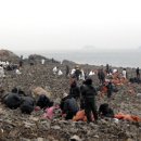 충남제일인력개발