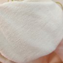 리버스핏 이미지