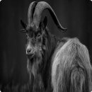 미션나라 이미지