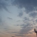 탄천사랑방 이미지