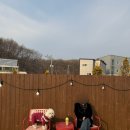 댕스라지 | [용인 성복/ 카페댕스] 성복동에서 제일 인기 많은 애견카페, 카페댕스 후기