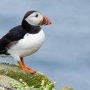 환경 그림책 놀이 이미지