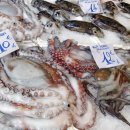 동인식품 이미지