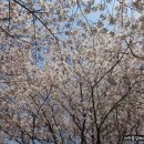 맥도생태공원 이미지