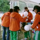 대한칼소닉 이미지