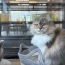 그루밍라운지 이미지