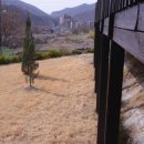 선택부동산공인중개사사무소 이미지