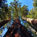 위너스자연요양병원 이미지