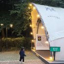 파크 힐(477)[스크린] | [워커힐 부대시설] 아이랑 호캉스 갈만한곳 추천! 포레스트파크, 스카이야드, 클럽라운지