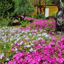 지리산통나무산장 이미지