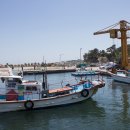 신창2리 어촌체험마을 이미지