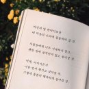 피자엠소마 네이버블로그