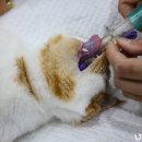 동물병원 비아츠 이미지