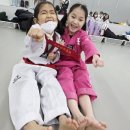 호계단태권도장 이미지