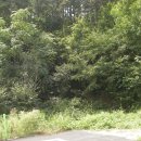 참샘약수터 이미지