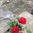 (주)운정골 이미지