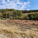 유성나무공인중개사사무소 이미지