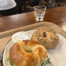 토마토스포츠