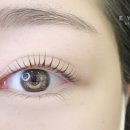 아이올라 이미지