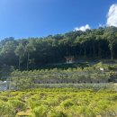 장기목장 이미지