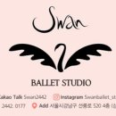 스완발레무용학원 - 당진시 밤절로 42-143 | 스완발레무용학원
