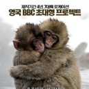 원라이프