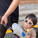(주)쉘위고 | 키머즈 쉘위고 타는 유아 캐리어 후기｜아이와 공항 여행에서 써본 트라이크 캐리어
