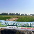 계양 아라온 청보리밭 2026 실황 — 주차 추천·운영 기간 총정리