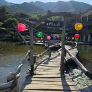 합천평화고등학교 | 경남 합천·산청 로드트립 → 산청 수선사 | 연못 데크 따라 천천히 쉬어간 트레일