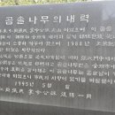 완산-159 Daum카페