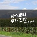 씨엠에스팜 티스토리