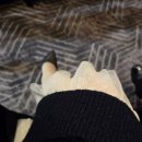 더링크호텔웨딩홀과 축가 존박 그리고 친구부부와 가마솥밥 철산본점에서 즐기는 만찬 이미지