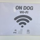 뛰뛰하개 | 온독 애견카페 (경기 오산시 두곡동)