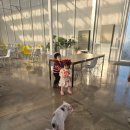 정읍어린이한자교실 | 전북 정읍 아기랑 방문 추천 신상 실내 놀이터 비비포레