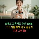 롯데택배 고령대가야점 | K패스 교통카드 추천 TOP5 | 카드사별 혜택 비교 총정리 (2025)