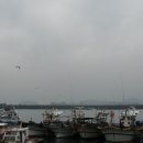 화곡관광농원 이미지