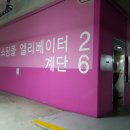 일산 머리잘하는곳 준오헤어 원마운트 민부원장님 시세이도 애쉬바이올렛 염색 예술이야