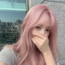 딸기미용실 - 함평군 | 딸기미용실