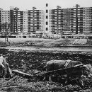 화신건축사사무소 이미지