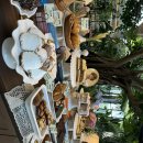 서원켄넬 이미지