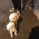 몬드헤어