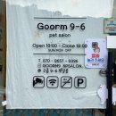 구름9-6 펫 살롱 이미지