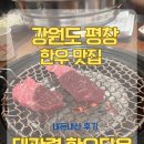평창축협동물병원 | 평창 대관령 한우타운 후기 — 직접 고르고 구워 먹는 강원도 한우의 진심