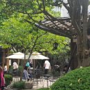 야생화꽃그림 천아트 이미지